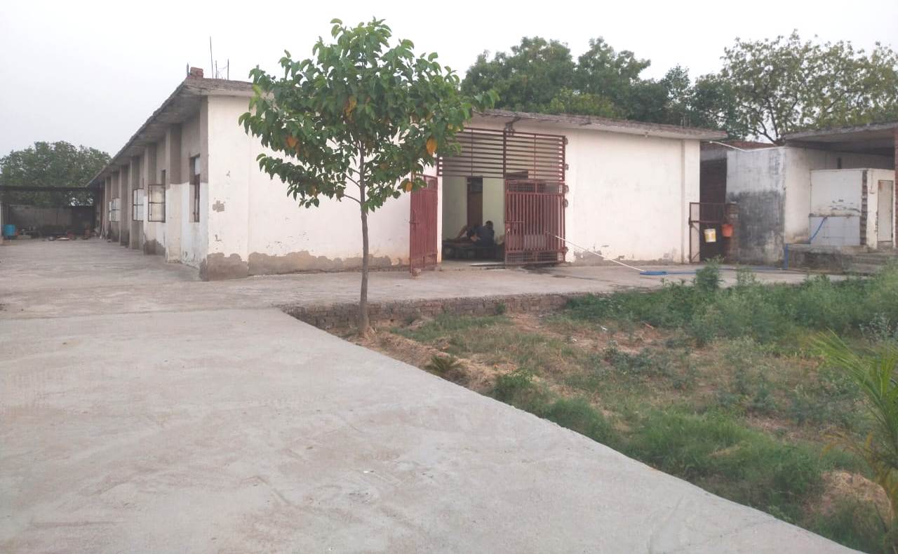 whatsapp image 2025 06 12 at 1.53.36 pm.jpeg